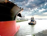 medbulk|Medbulk Shipping.